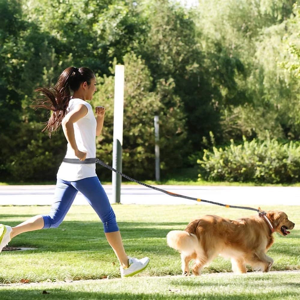 Adjustable Hands-Free Dog Leash with Harness