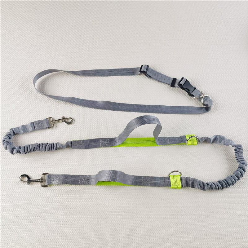Adjustable Hands-Free Dog Leash with Harness